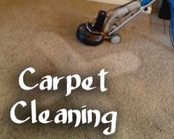 carpet cleaning in texas and dallas
